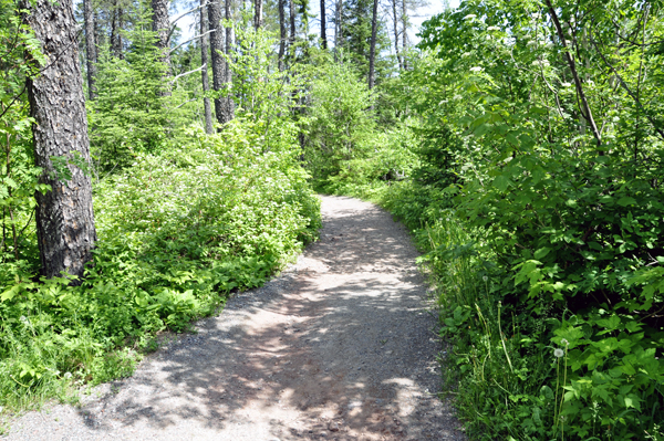 starting up the path at Ouimet Canyon
